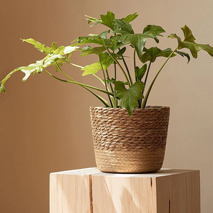 Straw Flower Pot Rattan Storage Basket